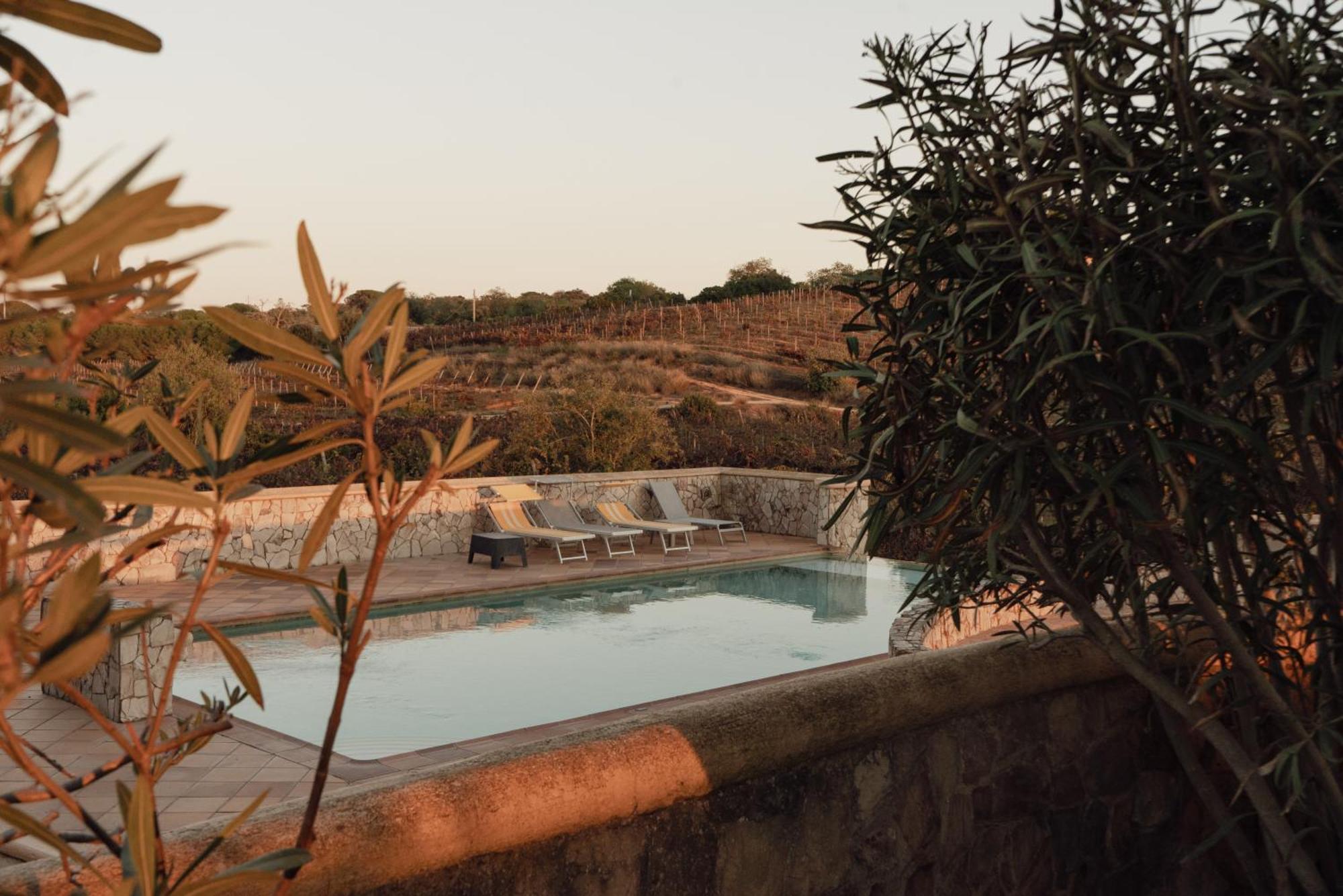 Quinta Dos Vales Wine Estate Guest House Estombar Exterior photo