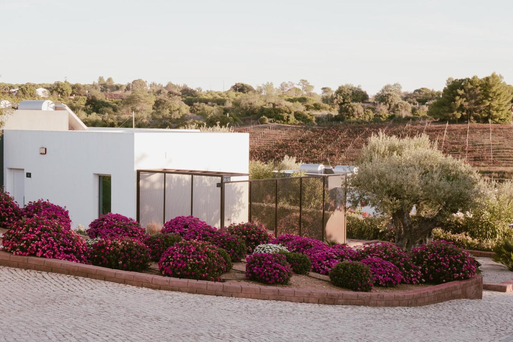 Quinta Dos Vales Wine Estate Guest House Estombar Exterior photo