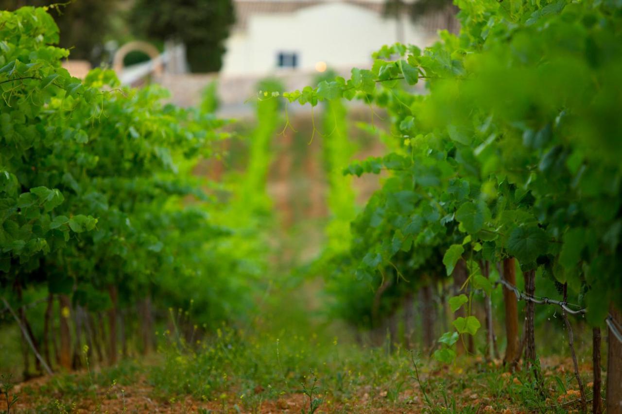 Quinta Dos Vales Wine Estate Guest House Estombar Exterior photo
